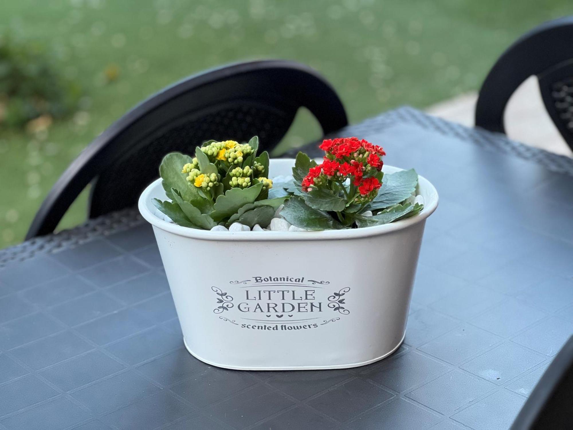 Casa Paestum. Your Wonderful Garden In Рим Екстериор снимка